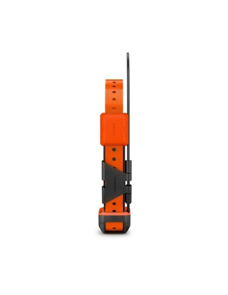 Garmin Alpha T 20 - Köpek Tasması