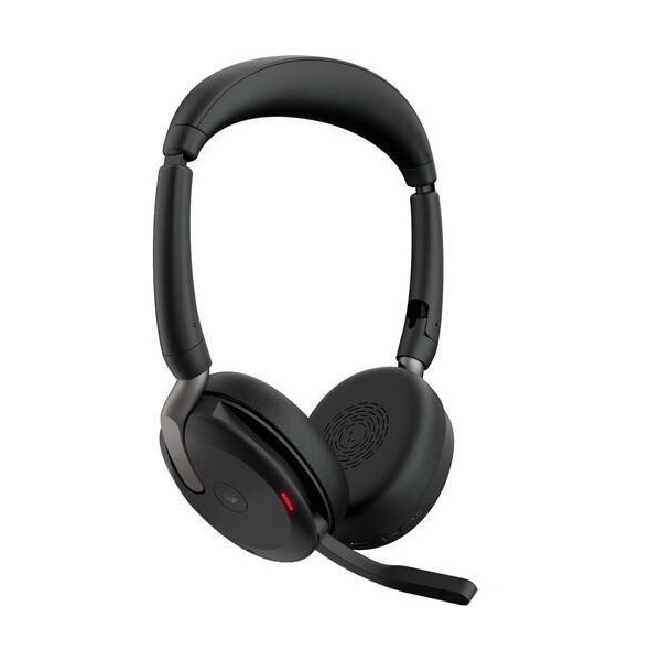Jabra Evolve2 65 Flex USB MS (Jabra Türkiye...