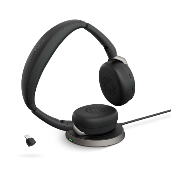 Jabra Evolve2 65 Flex Duo USB-C MS Kablosuz...