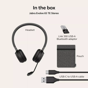 Jabra Evolve 65 TE USB-A Stereo Bluetooth Kulaklık 2