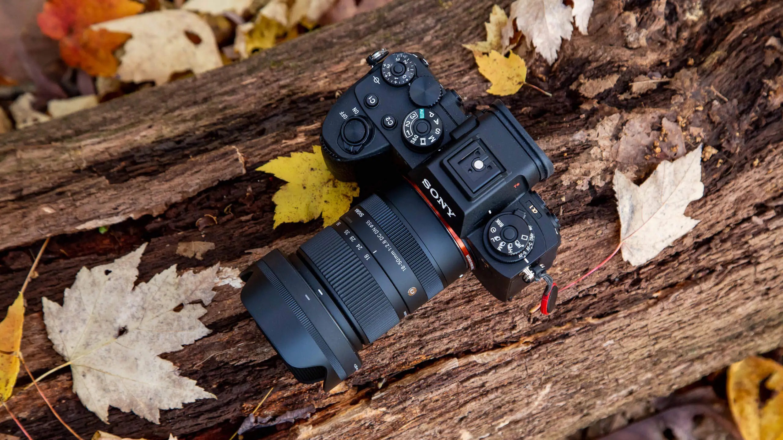 Jabra Evolve2 40 Duo USB-C Kulak &Uuml;st&uuml; Kulaklık