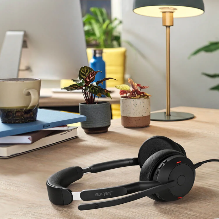 Jabra Evolve2 50 Duo Usb Ms Kablolu Kulak Üstü Kulaklık